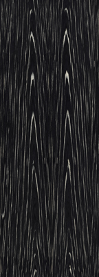 Black-Macassar.jpg
